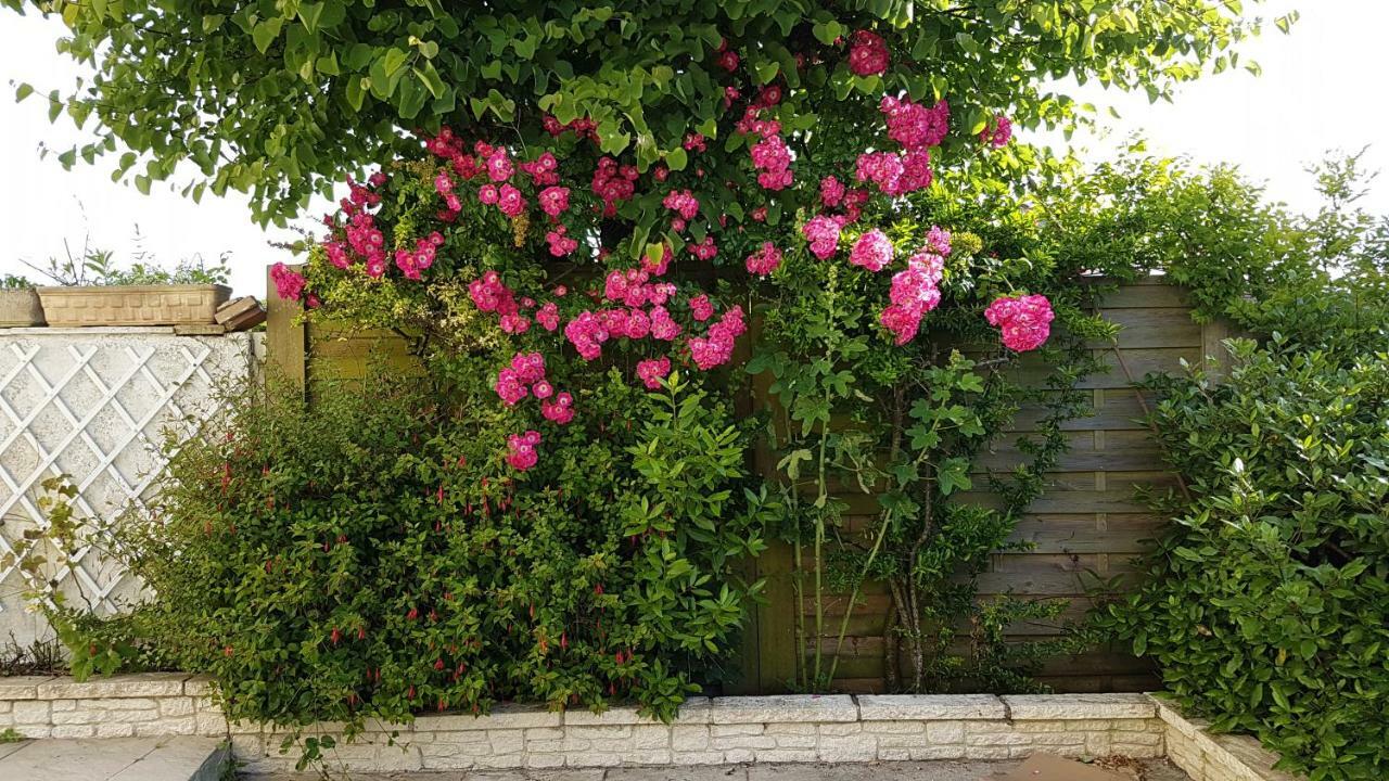 Liz'A Logis De Charme Villa Saint-Come-de-Fresne ภายนอก รูปภาพ